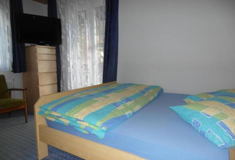 اتاق عادی با تخت دوبل, Walliserhof Leukerbad Therme