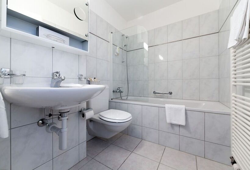 اتاق استاندارد یک نفره, Turmhotel Victoria Davos