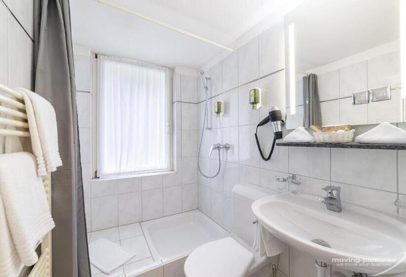 اتاق راحتی, Turmhotel Victoria Davos