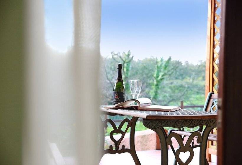 اتاق سوپریور, Pausania Inn