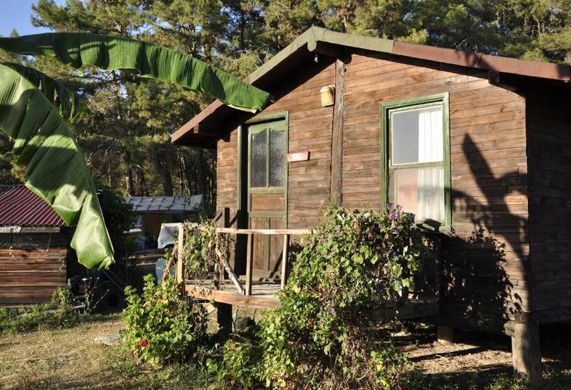 اتاق کلاسیک سه تخته, Havasupark Bungalows