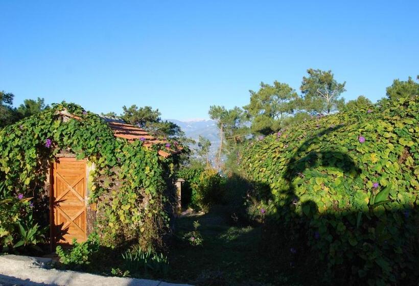 اتاق استاندارد, Havasupark Bungalows