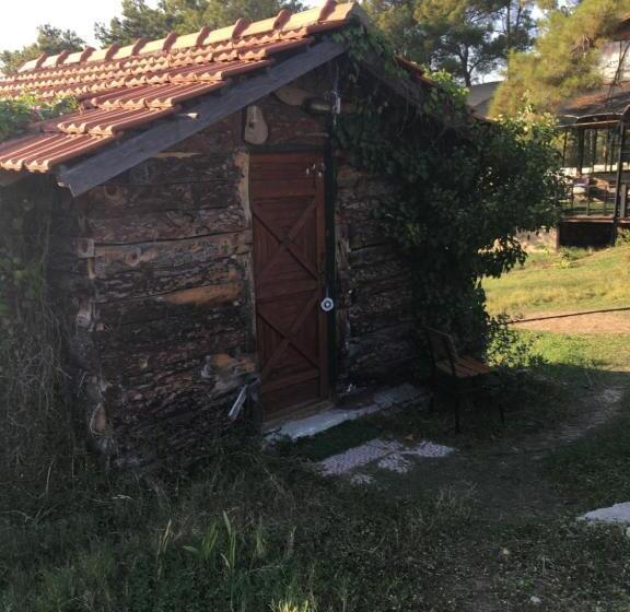 اتاق استاندارد, Havasupark Bungalows