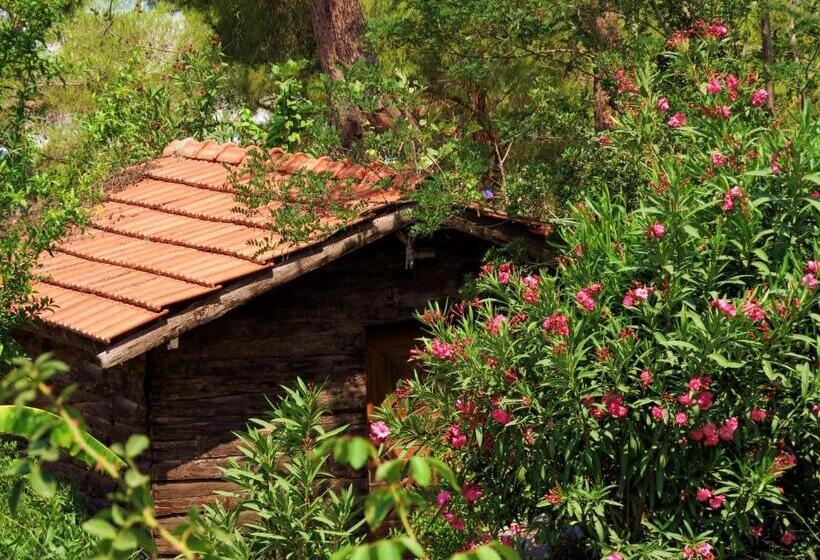 اتاق استاندارد با چشم‌انداز باغ, Havasupark Bungalows
