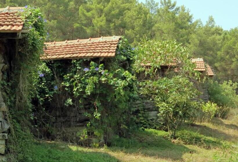 اتاق استاندارد با چشم‌انداز باغ, Havasupark Bungalows
