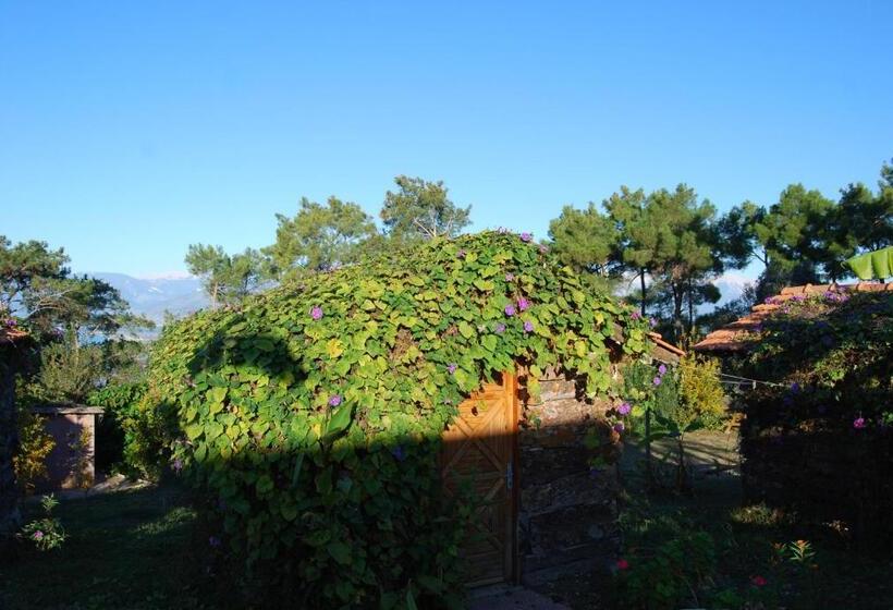 اتاق استاندارد با چشم‌انداز باغ, Havasupark Bungalows