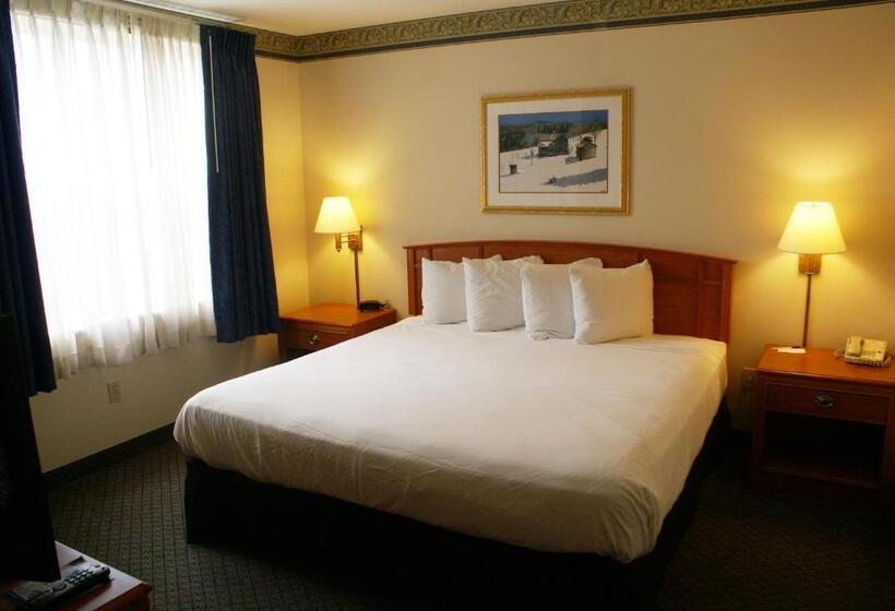 Стандартный Номер Кровать Кинг, Country Inn & Suites By Radisson, Lansing, Mi