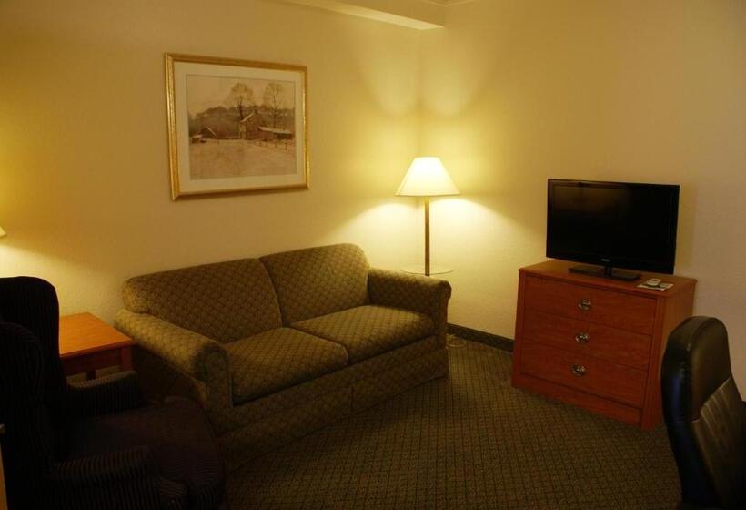 Студио Стандарт Кровать Кинг, Country Inn & Suites By Radisson, Lansing, Mi