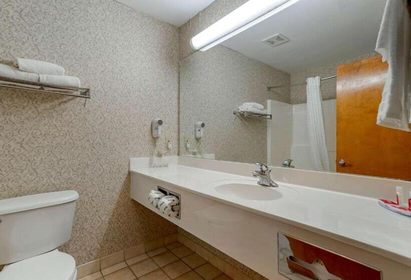 Стандартный Номер Кровать Кинг, Econo Lodge Inn & Suites