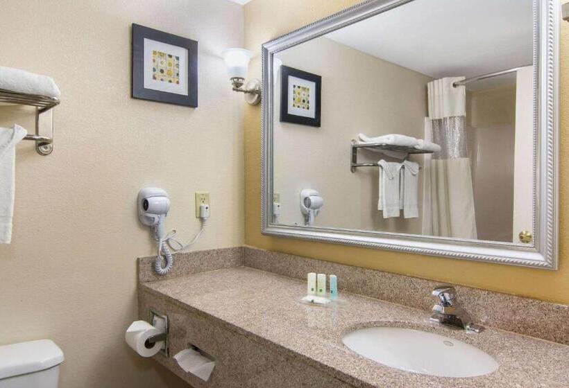 Номер Стандарт Кровать Кинг Адаптированный для Инвалидов, Quality Inn & Suites Union City   Atlanta South