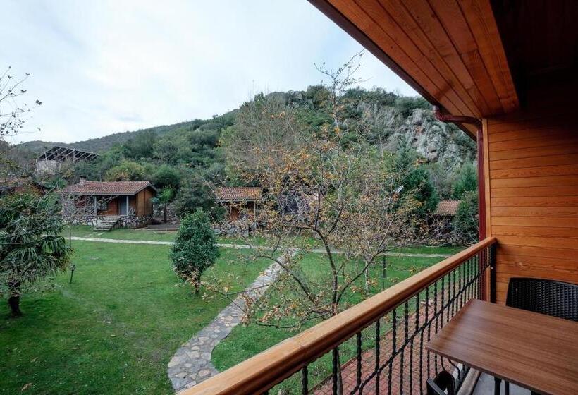 اتاق استاندارد با چشم‌انداز استخر, Bagdat Resort