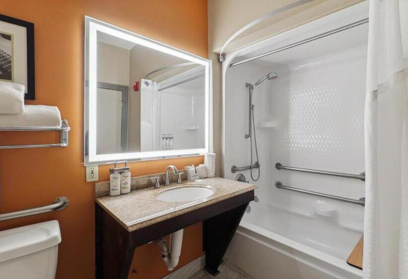 Стандартный Номер Кровать Кинг, Holiday Inn Hotel & Suites Slidell, An Ihg