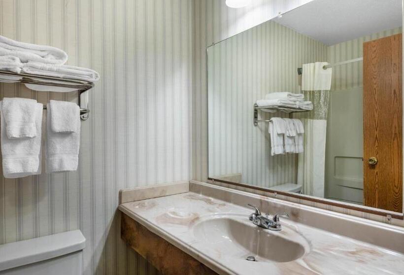 اتاق استاندارد با تخت بزرگ, Baymont By Wyndham Spearfish