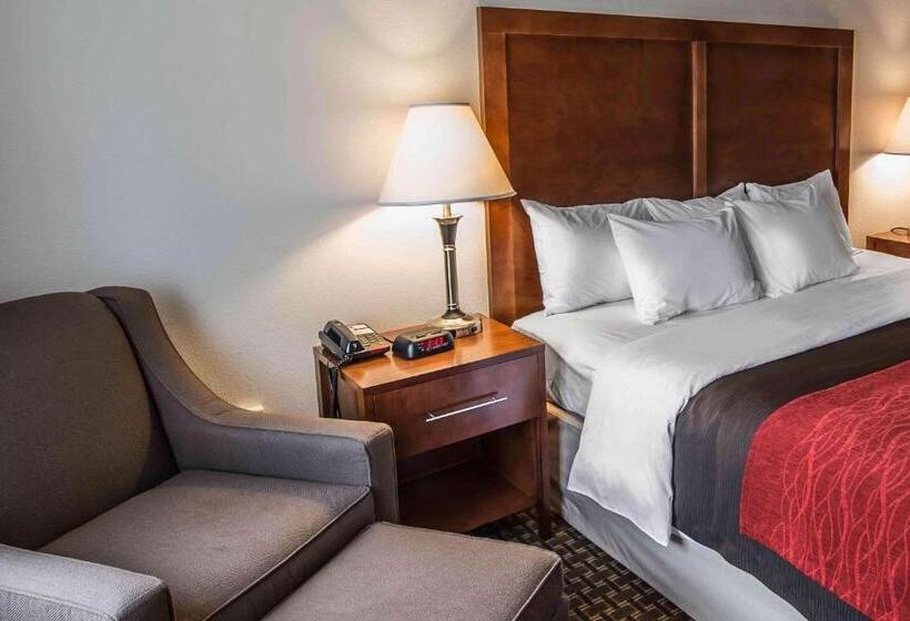 스탠다드 룸 킹사이즈 침대, Comfort Inn Atkinsmarion I81