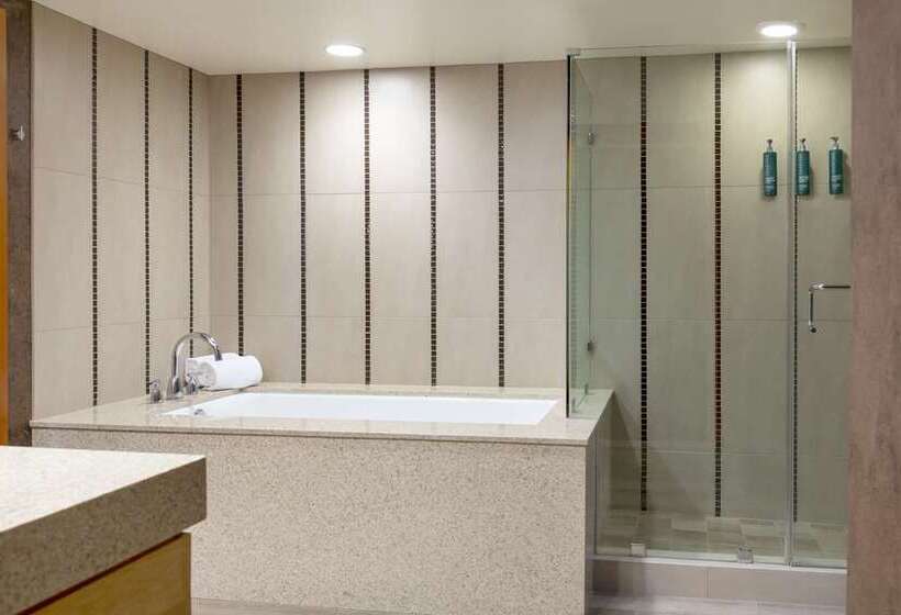 Люкс Кровать Кинг, Hilton Orange County/costa Mesa