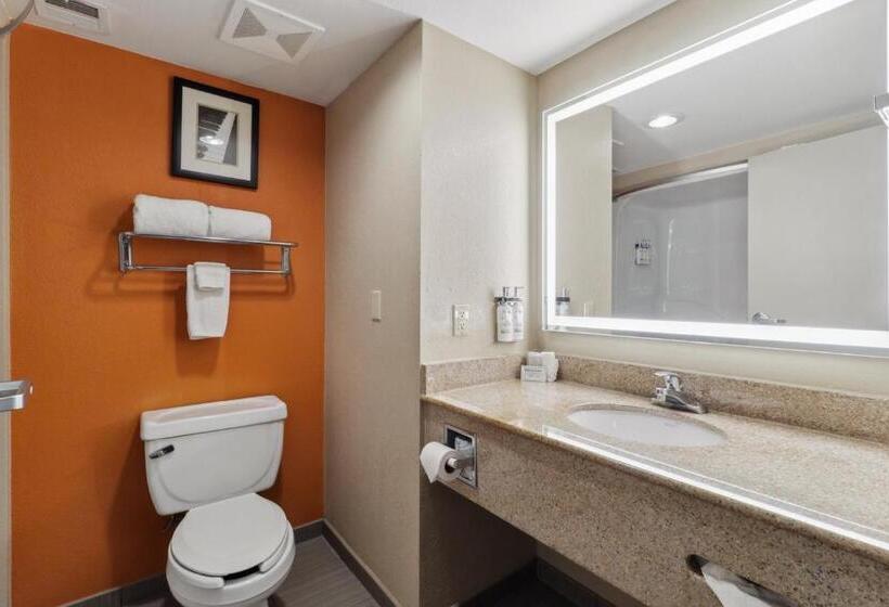 Номер Стандарт, Holiday Inn Hotel & Suites Slidell, An Ihg