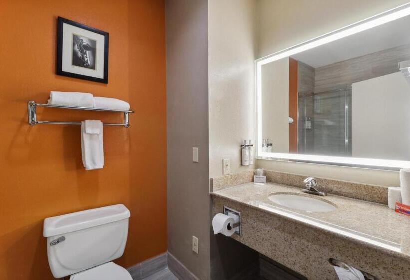 Номер Стандарт Адаптированный для Инвалидов, Holiday Inn Hotel & Suites Slidell, An Ihg