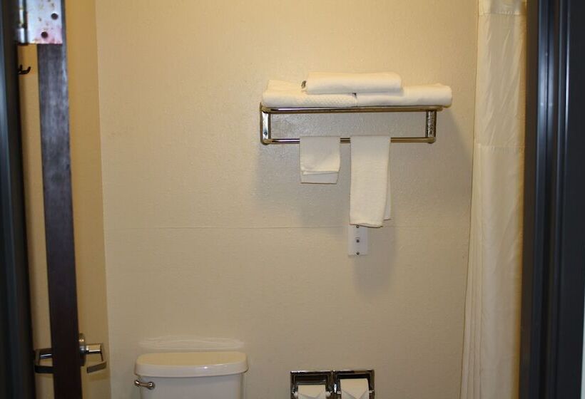 Quarto Estandar 2 Camas Casal, Quality Inn & Suites Wichita Falls I 44