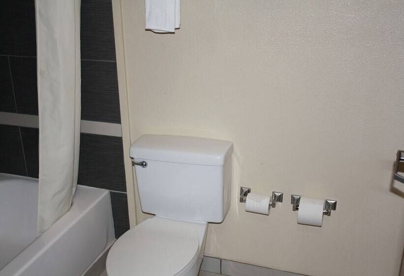 سوئیت با تخت بزرگ, Quality Inn & Suites Wichita Falls I 44