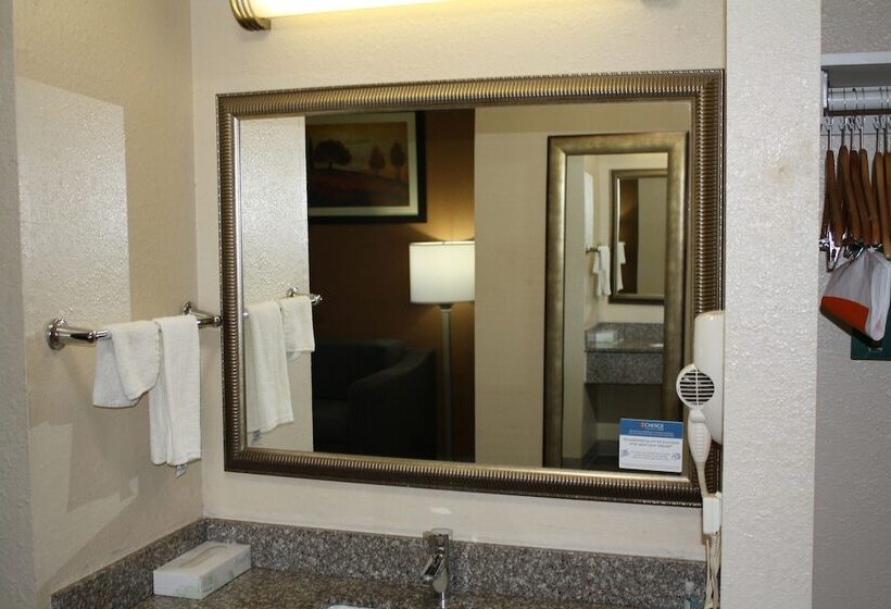 Suíte Cama King, Quality Inn & Suites Wichita Falls I 44