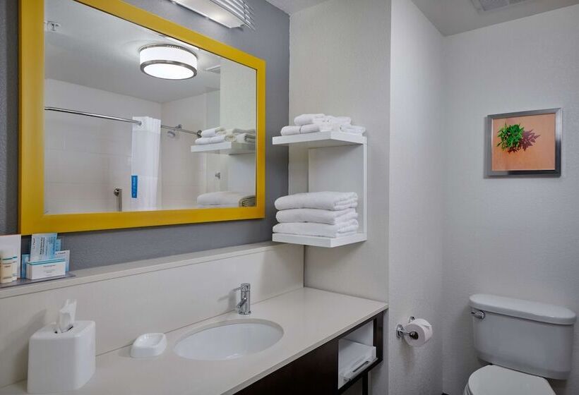 스탠다드 룸, Hampton Inn Alamogordo