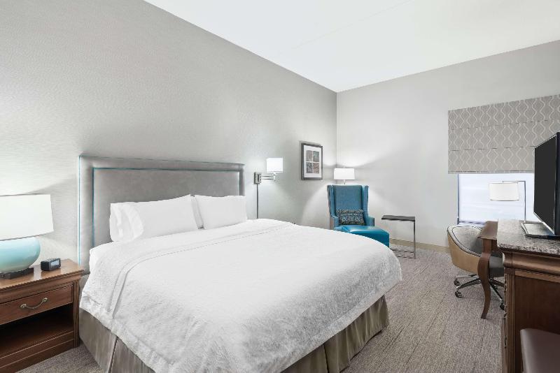 اتاق استاندارد با تخت بزرگ, Hampton Inn Hartford/airport
