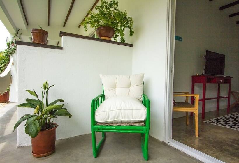 Люкс Повышенной Комфортности, Arganama Guesthouse