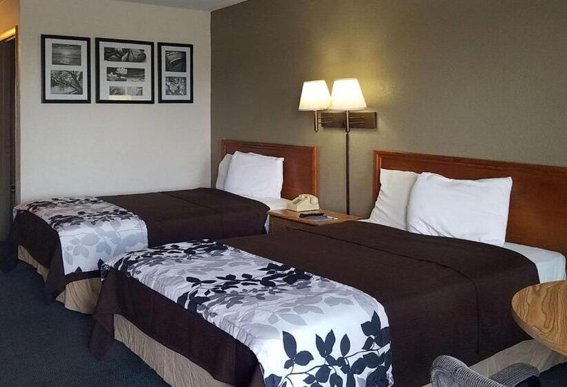 Номер Стандарт 2 Двуспальные Кровати, Travelers Inn & Suites