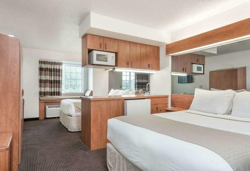 스탠다드 스튜디오, Microtel Inn & Suites By Wyndham Rice Lake