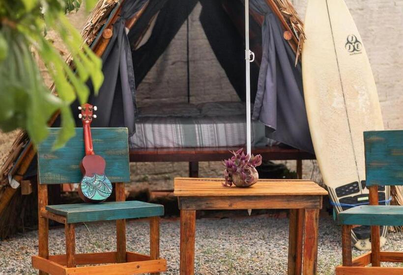 بانگلوی استاندارد, Back To The Beach Hostel   Pipa