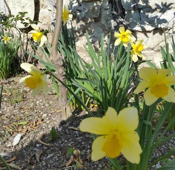آپارتمان 2 خوابه, Lovely Bosnian Home