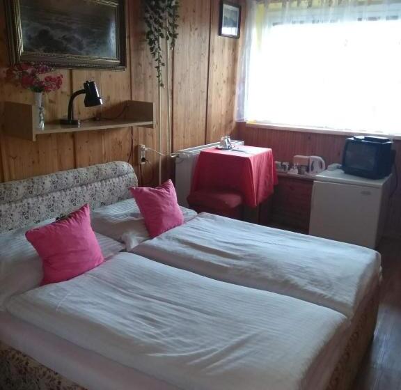 이코노미 룸, Pension Nika