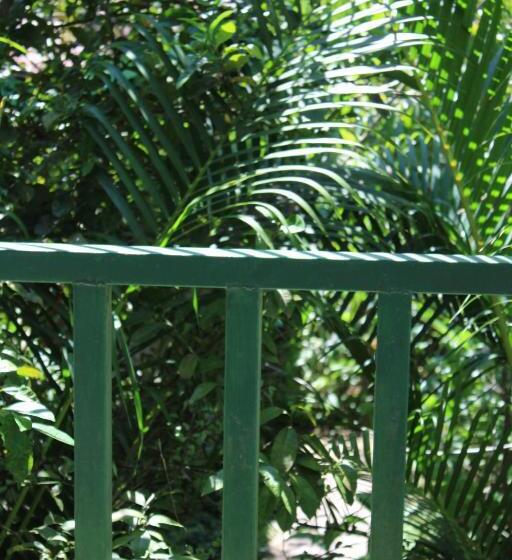 اتاق استاندارد با سرویس بهداشتی مشترک, Cabinas Tortuguero