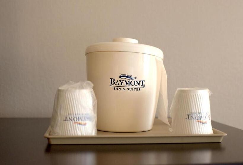 스탠다드 룸 더블 침대 2개, Baymont By Wyndham Cambridge