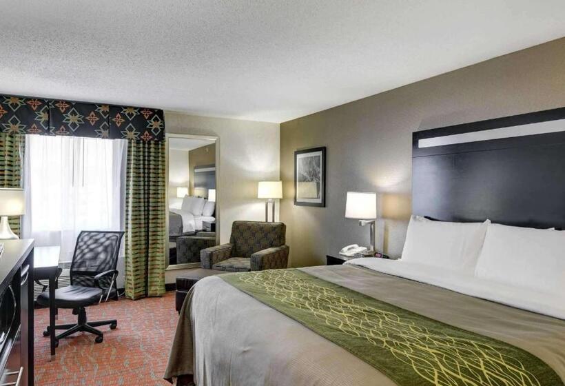 Стандартный Номер Кровать Кинг, Comfort Inn