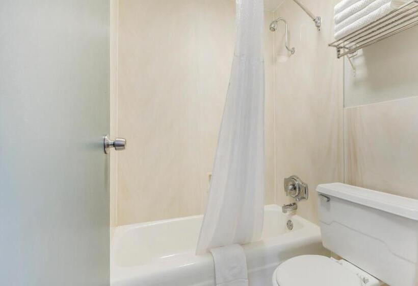 带大床的标准间, Quality Inn & Suites