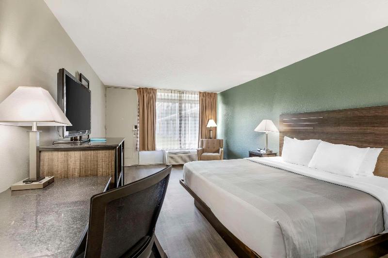 适合残疾人士使用的带超级大床的标准间, Quality Inn & Suites