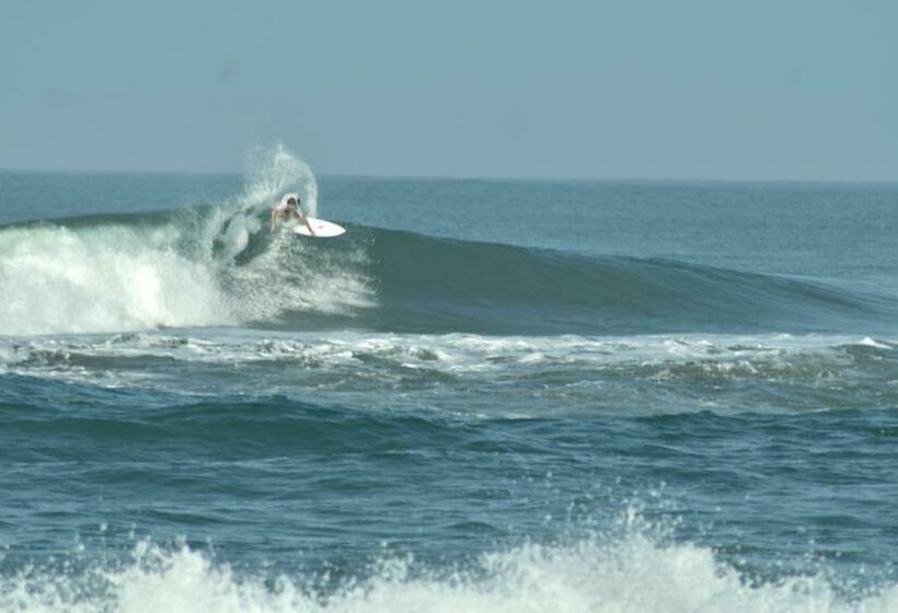 스탠다드 룸, Krui Surfing