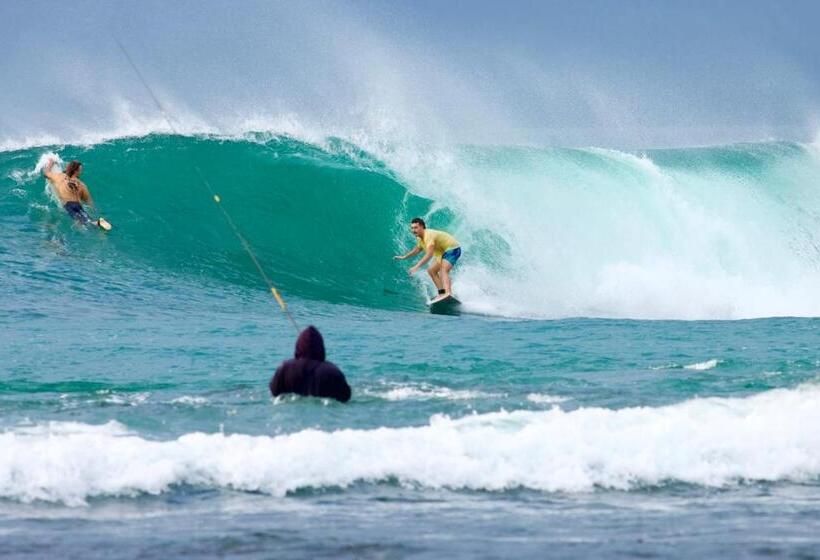 스탠다드 룸, Krui Surfing
