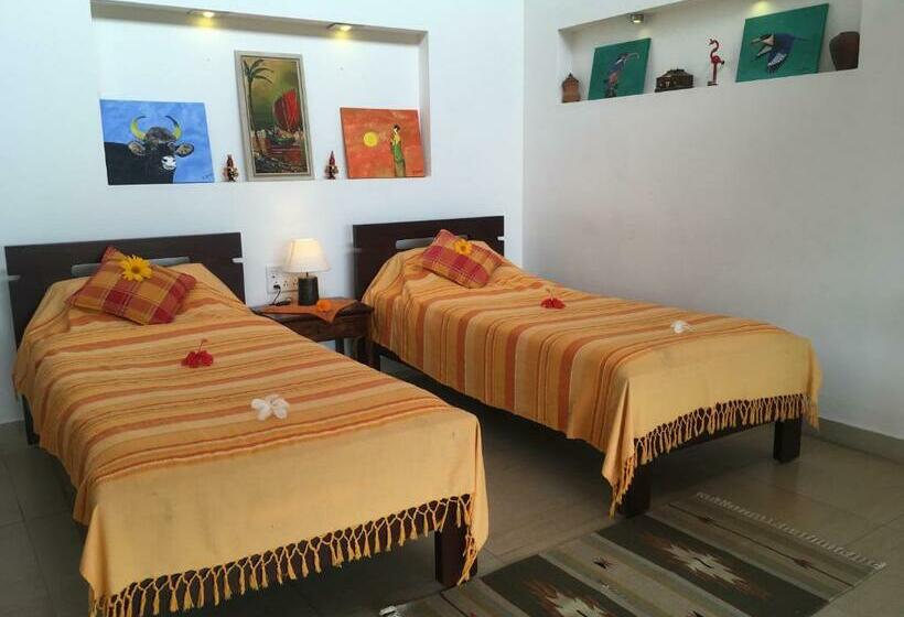 Номер Стандарт, Dhole's Den Bandipur