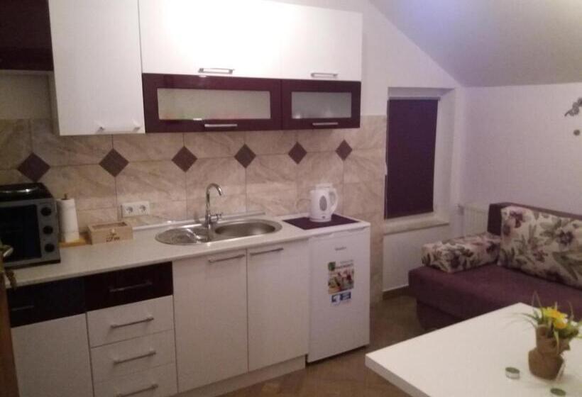 آپارتمان 1 خوابه, Guest House Mačić
