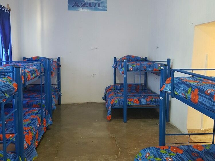 スタンダードルーム, Hostal Bustamante   Hostel