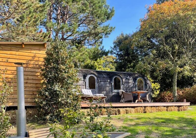 Номер Стандарт, Les Pins De Cesar  La Campagne D Etretat