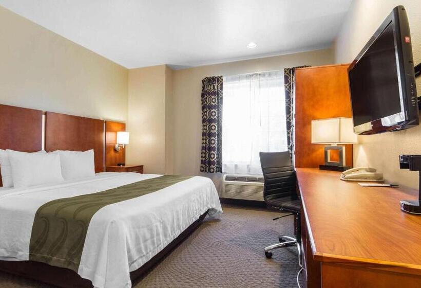 Стандартный Номер Кровать Кинг, Quality Inn San Jose Airport Silicon Valley