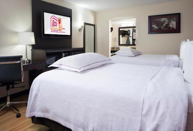 프리미엄 룸, Red Roof Inn Plus+ Birmingham East – Irondale/airport