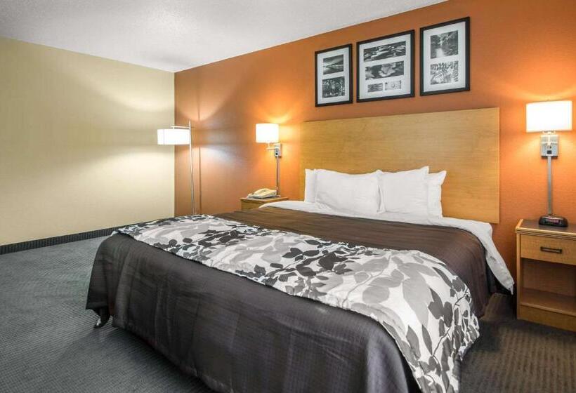 Стандартный Номер Кровать Кинг, Sleep Inn & Suites Sheboygan I 43