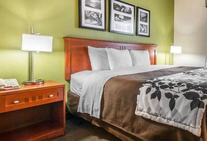 Стандартный Номер Кровать Кинг, Sleep Inn & Suites