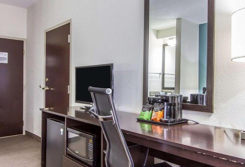 스탠다드 룸 킹사이즈 침대, Sleep Inn Scott/lafayette West