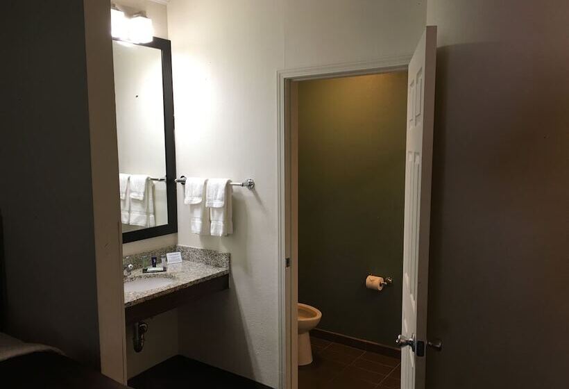 스탠다드 룸 더블 침대 2개, Sleep Inn Scott/lafayette West