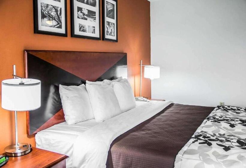 اتاق استاندارد با تخت بزرگ, Sleep Inn & Suites Oklahoma City North